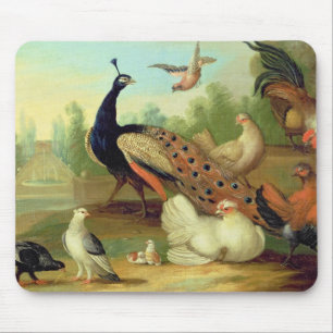 A Peacock, Doves, Chickens and a Jay in a Park Mouse Pad