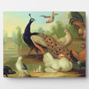 A Peacock, Doves, Chickens and a Jay in a Park Plaque