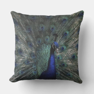 A Peacocks Beautiful Opened Feathers  Cushion