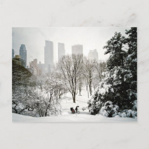 A Pedicab in Central Park During Winter Postcard
