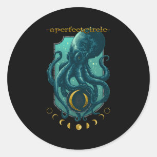 A Perfect Circle Â€“ Moon Oracle Classic Round Sticker