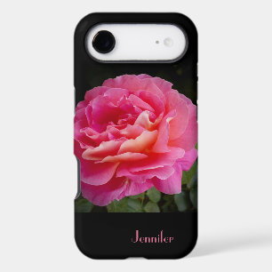 A Perfect Pink Rose, Elegant