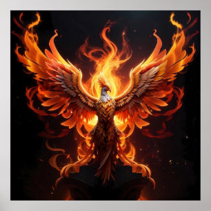 A Phoenix reborn Poster
