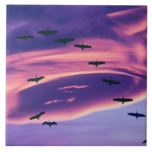 A photo composite of Sandhill cranes in flight Ceramic Tile
