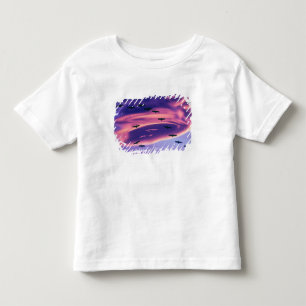 A photo composite of Sandhill cranes in flight Toddler T-Shirt