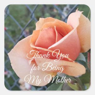 A Photo of an Orange Rose Thank You Mother Square  Sticker
