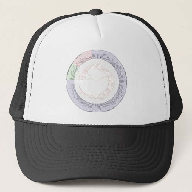 A phylogenetic tree of life chart trucker hat (Front)