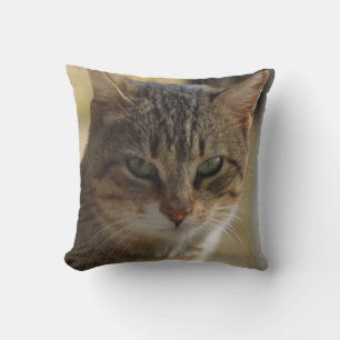 A picture of a serious cat's face in a warm colour cushion