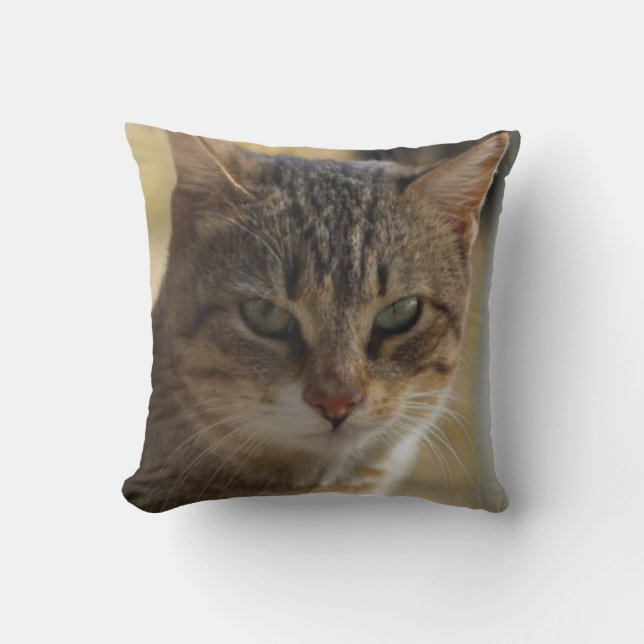 A picture of a serious cat's face in a warm colour cushion (Front)