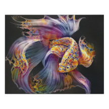 A picture of an Aquarium Fish 