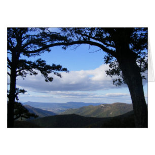 A Picture Perfect View