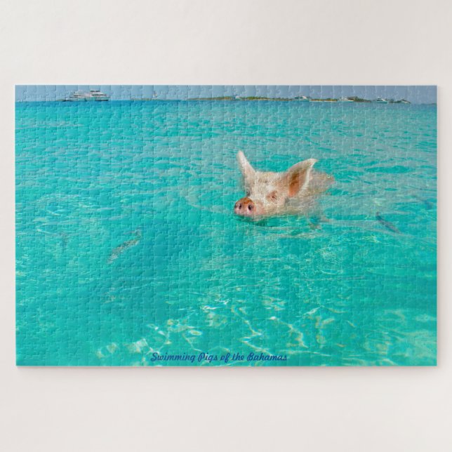 A Pig goes Swimming in the Bahamas. Jigsaw Puzzle (Horizontal)