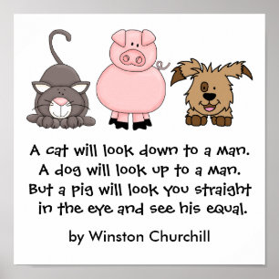 A PIG Quote by Winston Churchill Poster