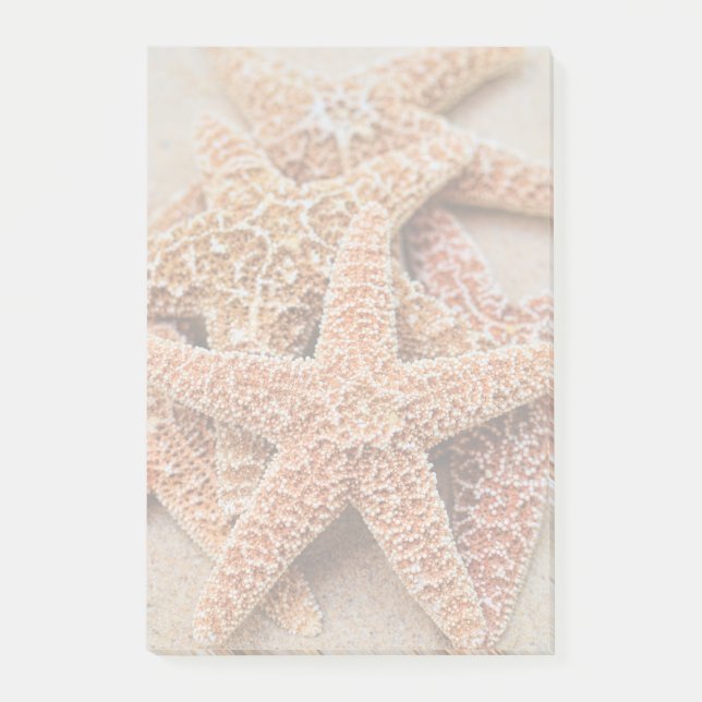 A Pile of Large Sugar Starfish Post-it Notes (Front)