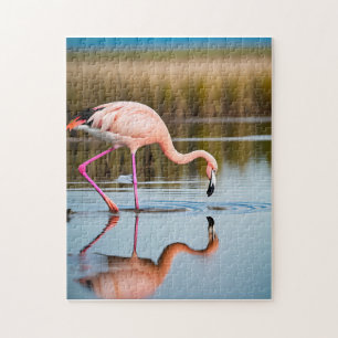 A Pink Flamingo Seeing Its Reflection in the Water Jigsaw Puzzle