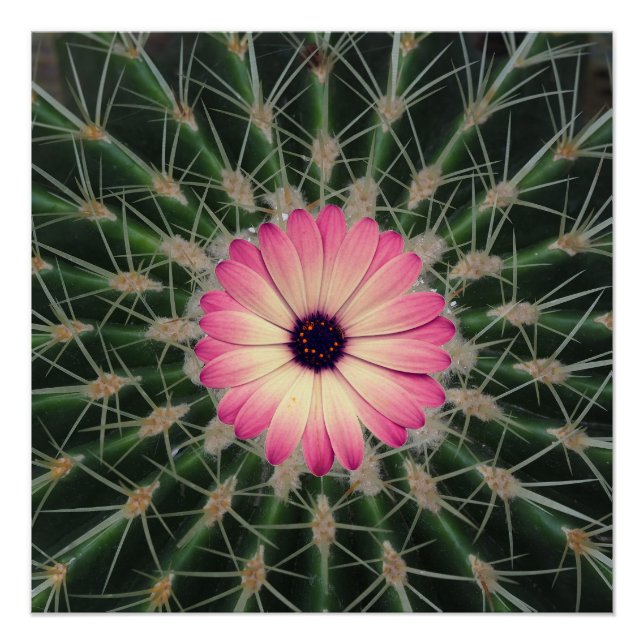 A pink flower poster (Front)