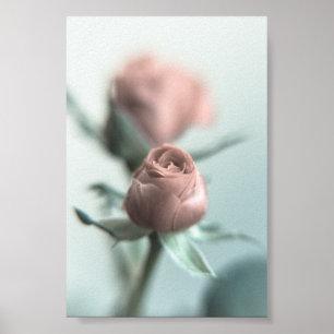 A Pink Rose for your Sweetheart... Poster