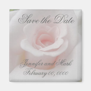 A Pink Rose Save the Date Magnet