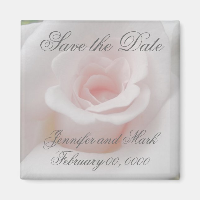 A Pink Rose Save the Date Magnet (Front)