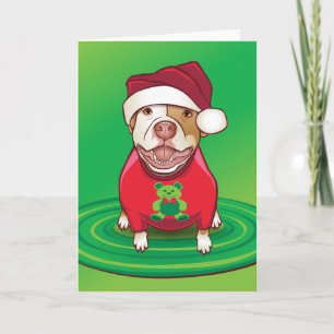 A Pit Bull in a Bear Tee Holiday Card