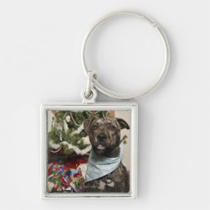 A pit bull posing for a Christmas portrait. Key Ring