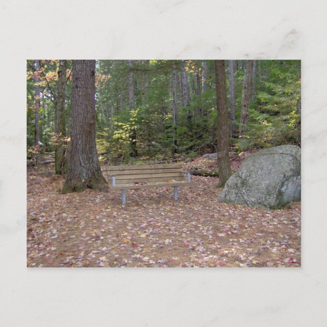 A Place to Think Postcard (Front)