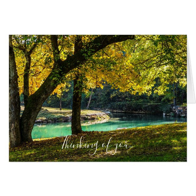 A Place Under The Shade Tree Thinking Of You (Front Horizontal)