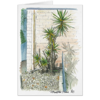 a plant in a corner