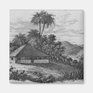 A Planter's House in Brazil Magnet
