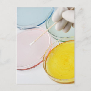 A plastic gloved hand sampling from petrie postcard