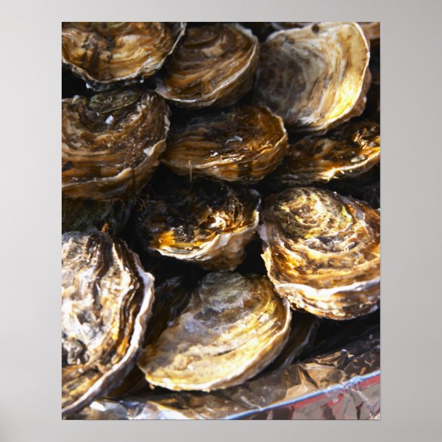 A plate of oysters. poster (Front)