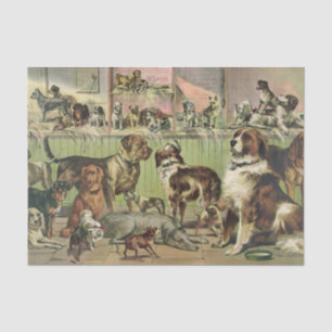 A Plethora of Dogs Tissue Paper