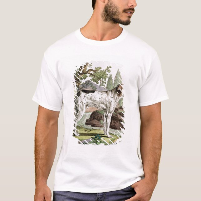 A Pointer, illustration from 'Histoire T-Shirt (Front)