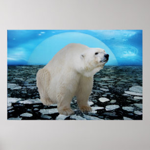 A polar bears time poster