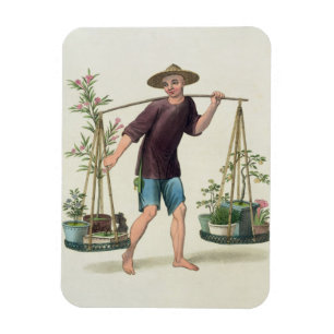 A Porter with Fruit Trees and Flowers, plate 16 fr Magnet