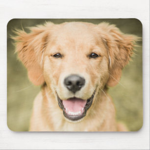 A Portrait Of A Golden Retriever Puppy Mouse Pad