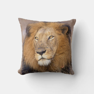 A portrait of a Lion looking into the distance Cushion