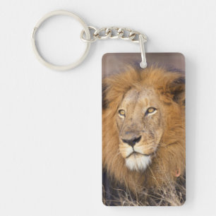 A portrait of a Lion looking into the distance Key Ring