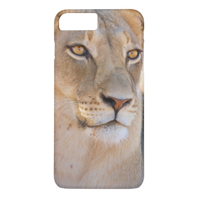 A portrait of a Lioness looking into the distance Case-Mate iPhone Case (Back)