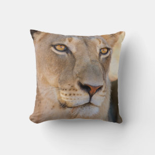 A portrait of a Lioness looking into the distance Cushion