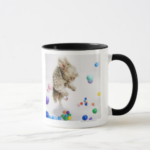 A Portuguese Waterdog jumping amongst falling Mug