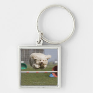 A Portuguese Waterdog jumping over a hurdle Key Ring