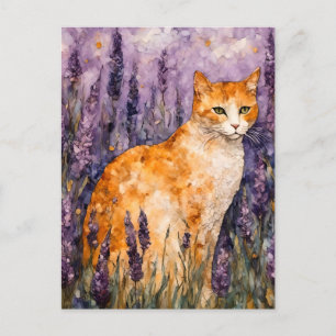 A pretty ginger cat in a lavender field  postcard