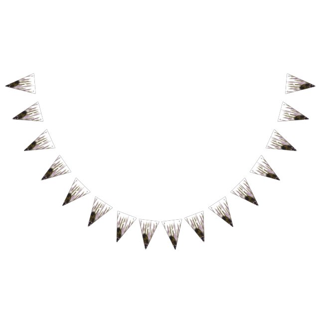 A pristine lake nestled among snow-capped mountain bunting  (All)