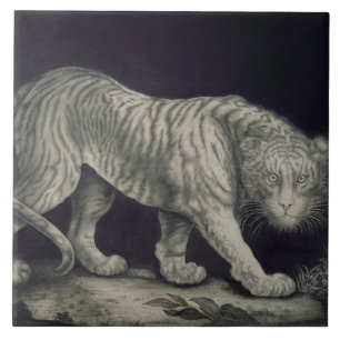 A Prowling Tiger (pencil on paper) Tile