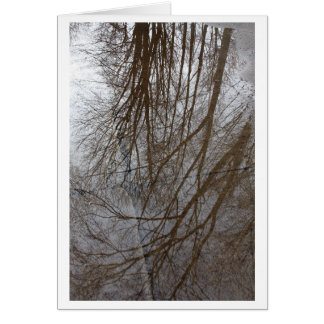 "A Puddle of Trees" - Photo Art