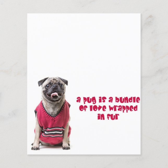 A Pug Is A Bundle Of Love Wrapped In Fur Flyer (Front)