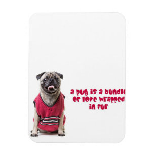 A Pug Is A Bundle Of Love Wrapped In Fur Magnet
