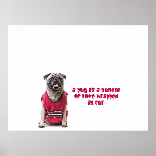 A Pug Is A Bundle Of Love Wrapped In Fur Poster (Front)
