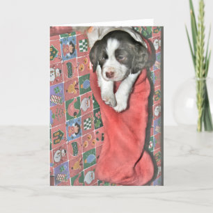 A Puppy For Christmas Card